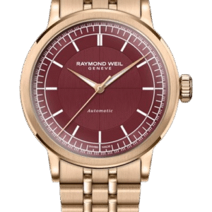 bay watch collection