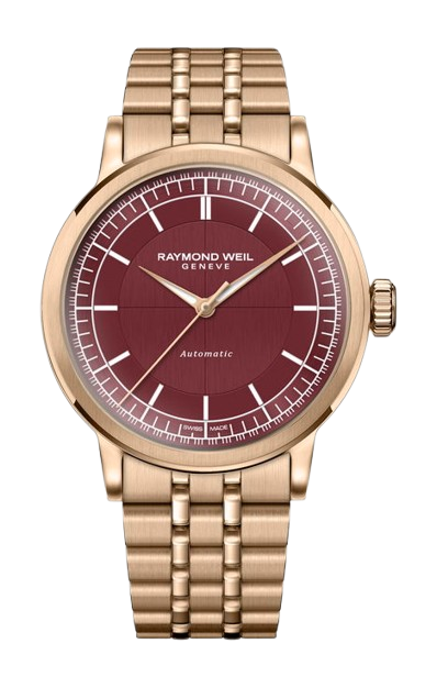 bay watch collection